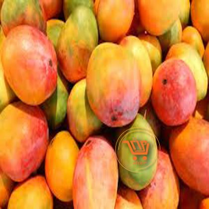 Mango/ማንጎ